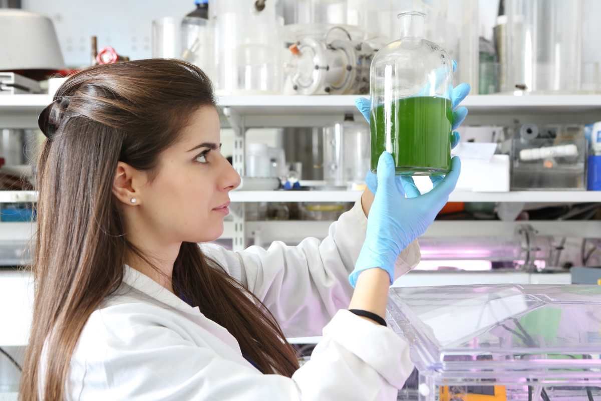 Un ingeniero geomático observa la biomasa de la especie de alga Chlorella. (Fuente de la imagen: Getty Images | Nicola Tree)
