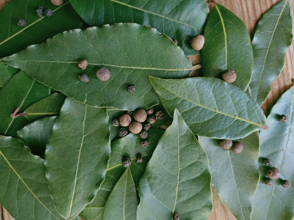 Hojas de laurel sobre una mesa