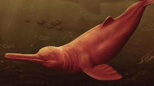 68643407_1004 68643407_1004