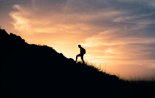 shutterstock_1936638538 shutterstock_1936638538