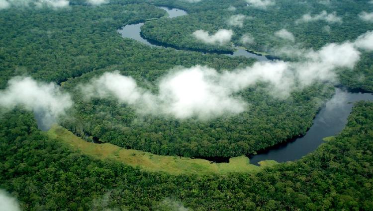 parque nacional salonga