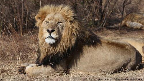 67379136_303 67379136_303