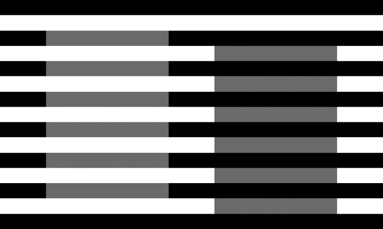 ilusión de white ilusión óptica