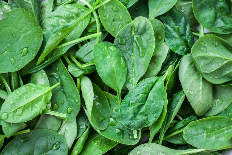Verduras Verduras