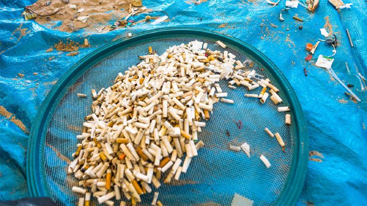 construir colillas cigarrillo construir colillas cigarrillo