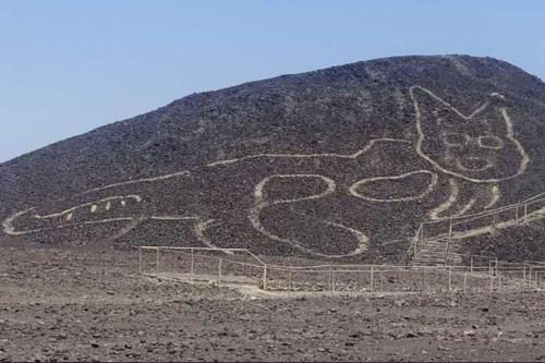 Un gato de 37 metros: hallan una nueva figura en las Líneas de Nazca