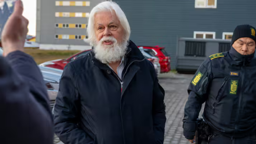 Paul Watson Liberan a Paul Watson: activista ambiental detenido por luchar contra la caza de ballenas.