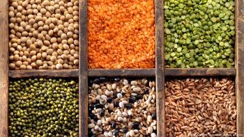 Las legumbres, cereales integrales y verduras son base para una buena alimentación, según los científicos.