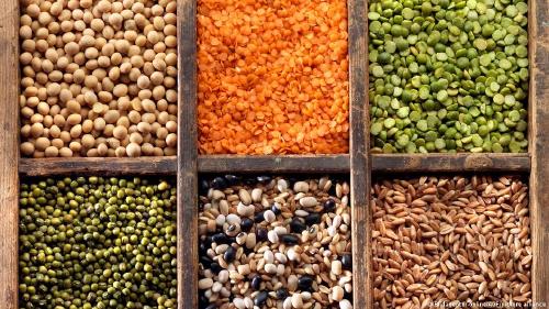 Dieta de la longevidad legumbres y cereales Las legumbres, cereales integrales y verduras son base para una buena alimentación, según los científicos.