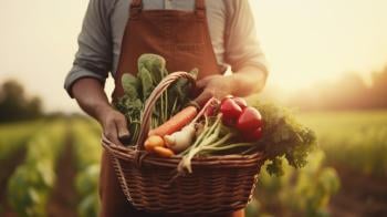 AdobeStock_592926858 AdobeStock_592926858