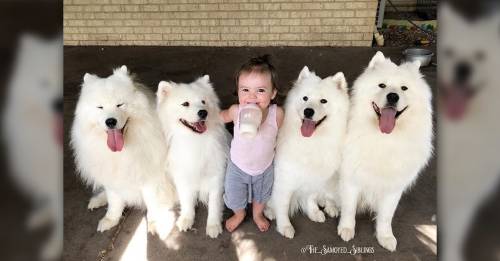 Mira cómo sus perritos le enseñaron a caminar a esta niña
