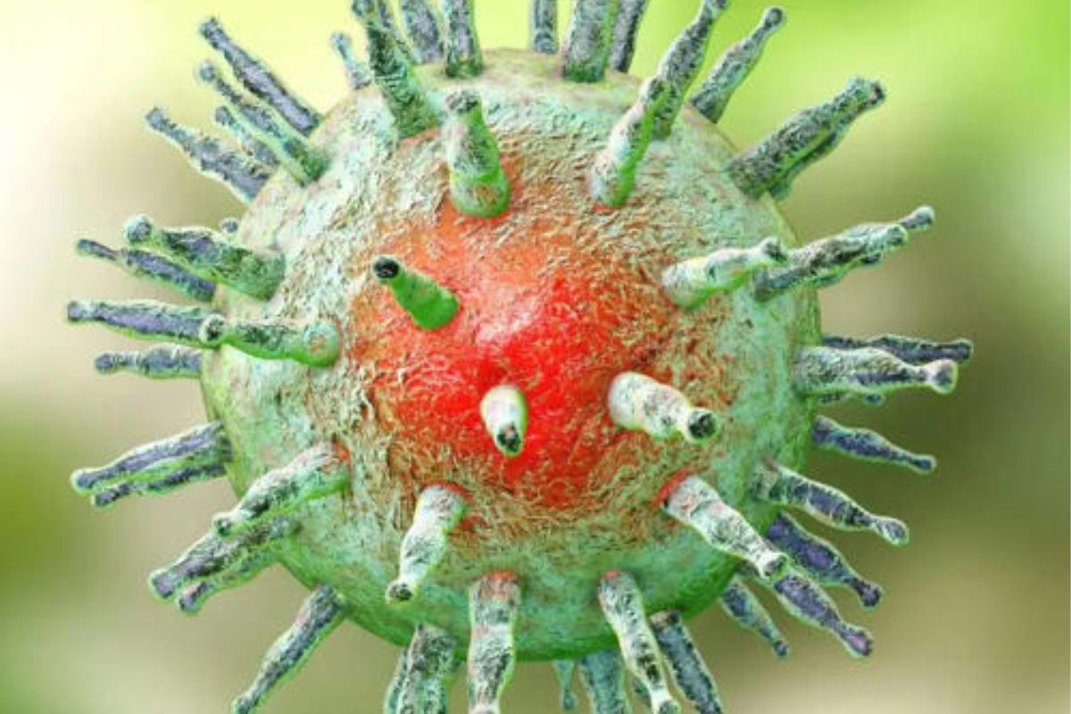 El virus de Epstein Barr podría ser el detonante oculto detrás del lupus — esto es lo que descubrieron los científicos. (msn.com)