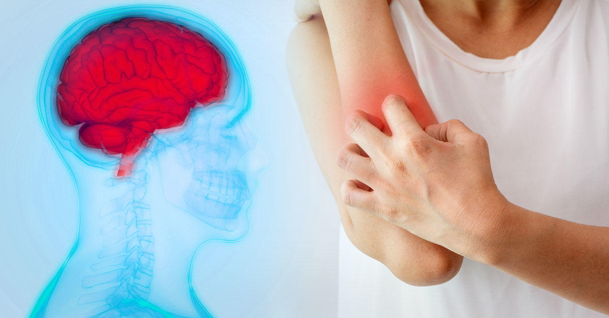 Tusa Rascarse ¿Por qué rascarse da tanto placer? | Bioguia