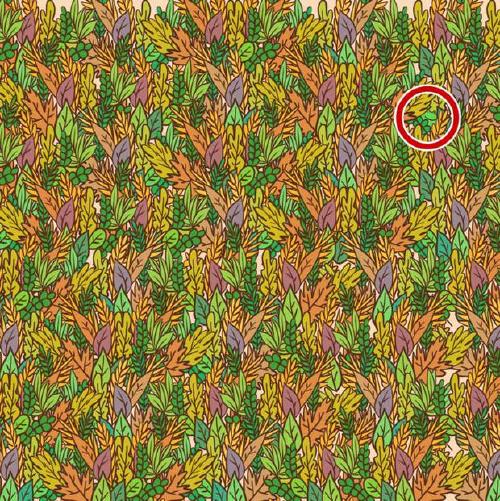 solucion-reto solucion-reto