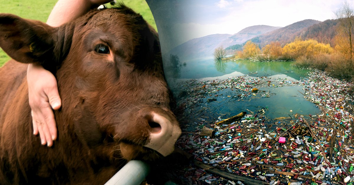 5 acciones que todos podemos hacer para traerle esperanza al planeta 5 acciones que todos podemos hacer para traerle esperanza al planeta