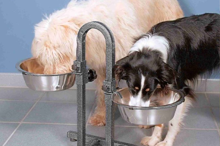 comedero perros El acero inoxidable es hoy la opción más segura y recomendada por veterinarios. (Foto: Pinterest)