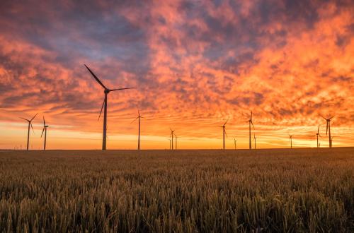 Ecoeficiencia permite reducir el consumo de  recursos naturales