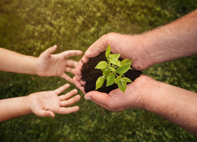 Día Mundial de la Educación Ambiental