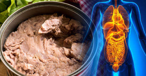 ¿Es posible que tu cuerpo esté contaminado con mercurio por comer pescado?