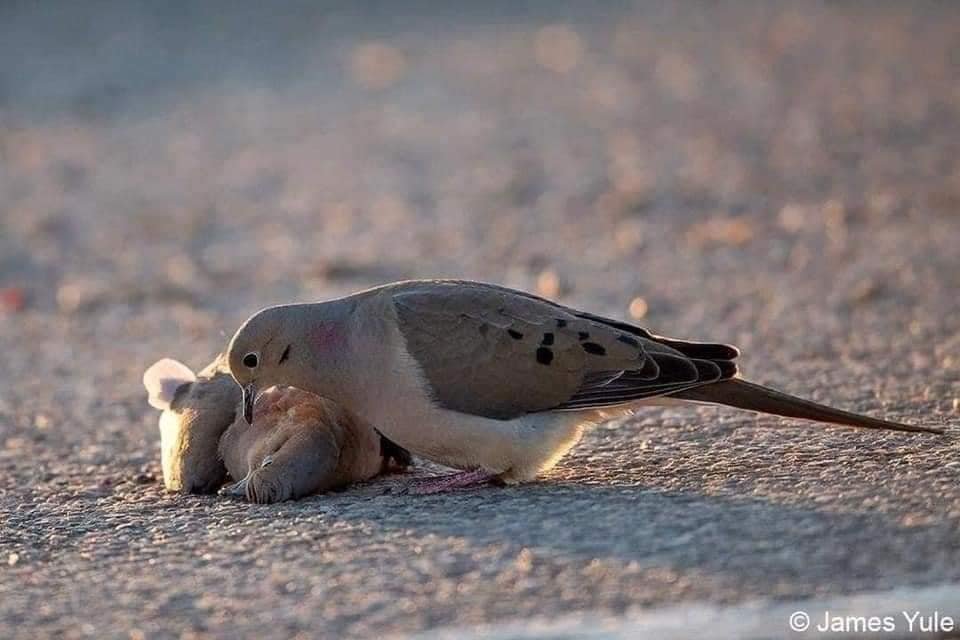 E36Kv3MXEAIGFhh E36Kv3MXEAIGFhh