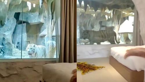 _portada bioguia (17) _portada bioguia (17)