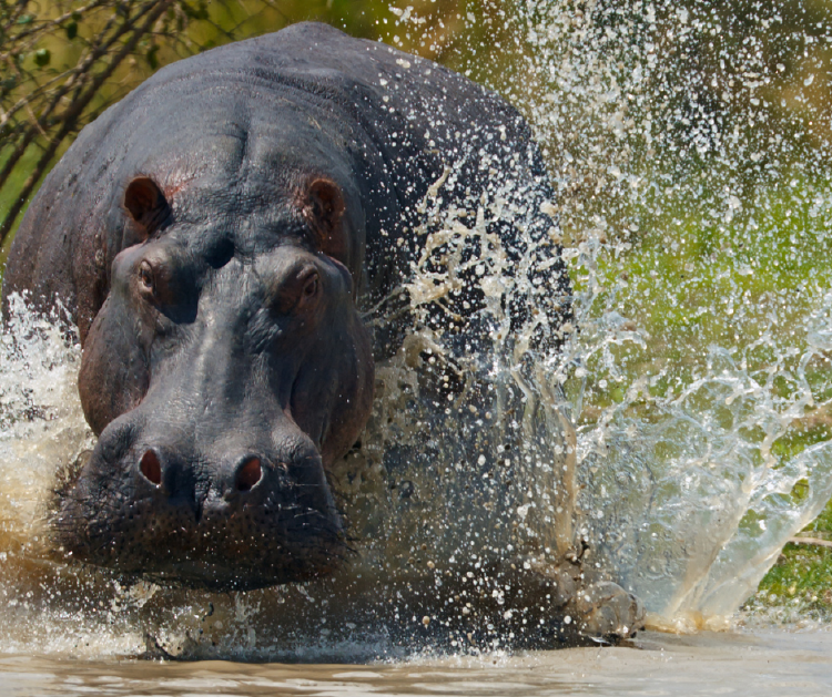 Diseño sin título (77) Diseño sin título (77)