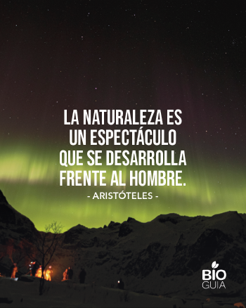 Frases para web (8) Frases para web (8)