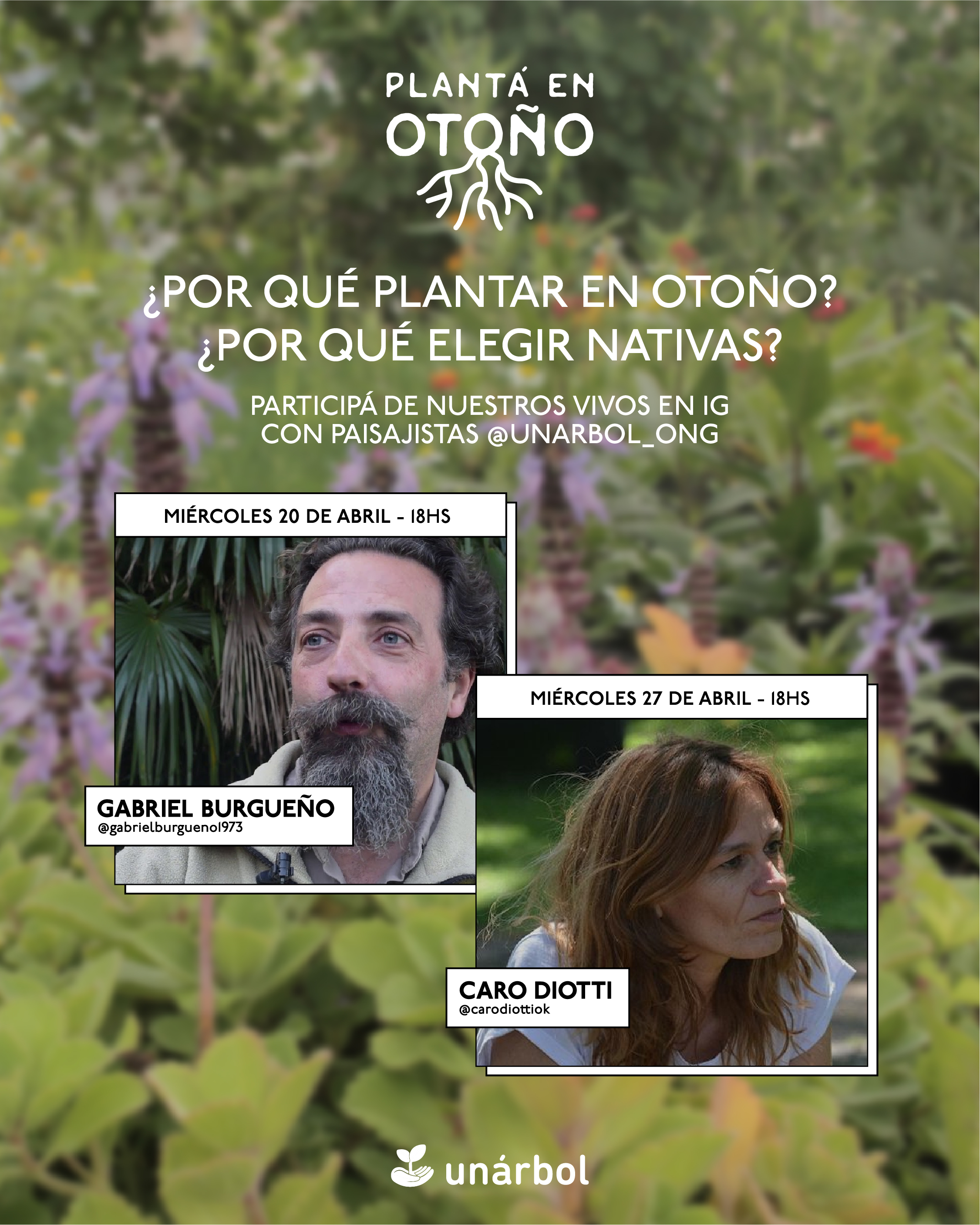 Planta en Otoño post 23 Planta en Otoño post 23