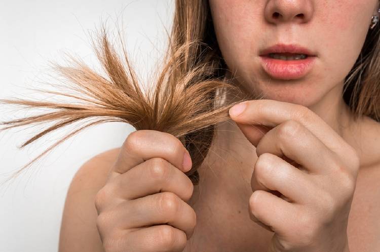 cabello puntas dañado Alimentos que dañan tu cabello