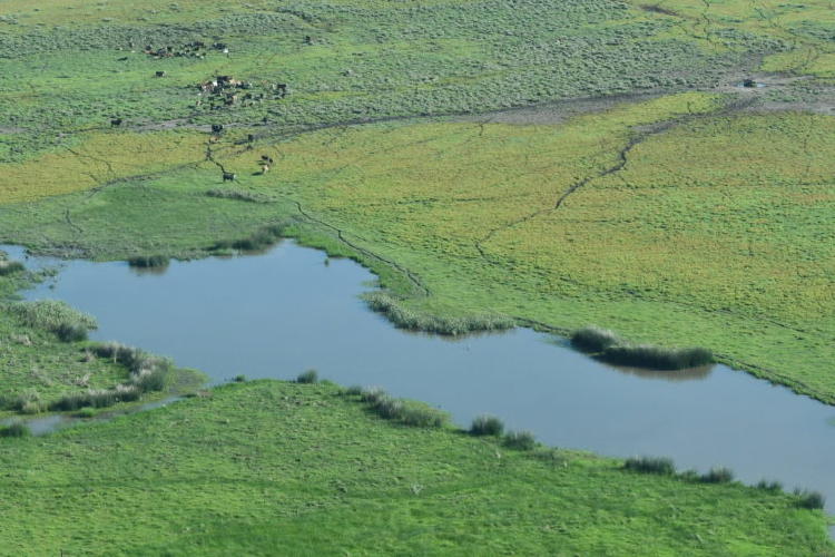 Vista aérea de los Bañados del Río Dulce. Foto: Yanina Druetta.