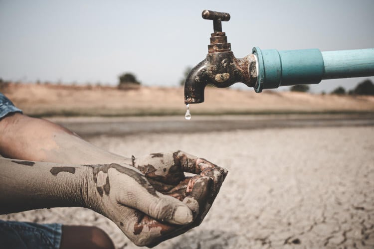 sequia AdobeStock_354212936 sequia AdobeStock_354212936