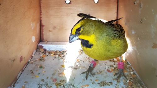 IMG 20220930 WA0035 IMG 20220930 WA0035