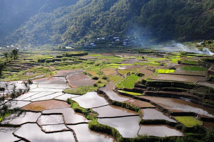 Terrazas de cultivo ¿En qué consisten?: ¿Cómo eran las de los incas?