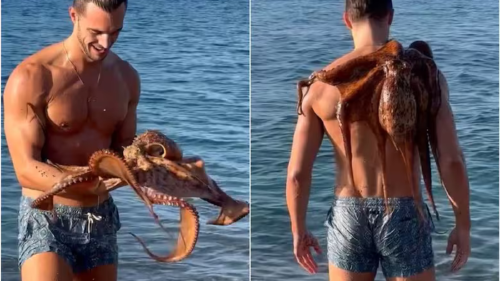 viral Lo que simulaba un simple video contemplando la inmensidad del mar, se transformó en un pequeño susto con final optimista para Federico Cola.