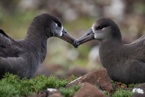 BFL_9049 1536x1024 BFL_9049 1536x1024