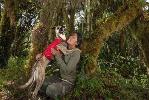 Ruthmery Pillco Huarcaya biologa mascota Ruthmery Pillco Huarcaya biologa mascota