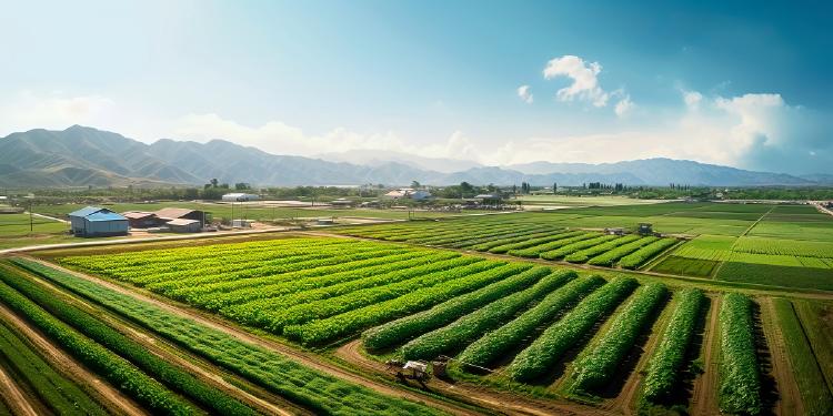 Agricultura regenerativa Agricultura regenerativa