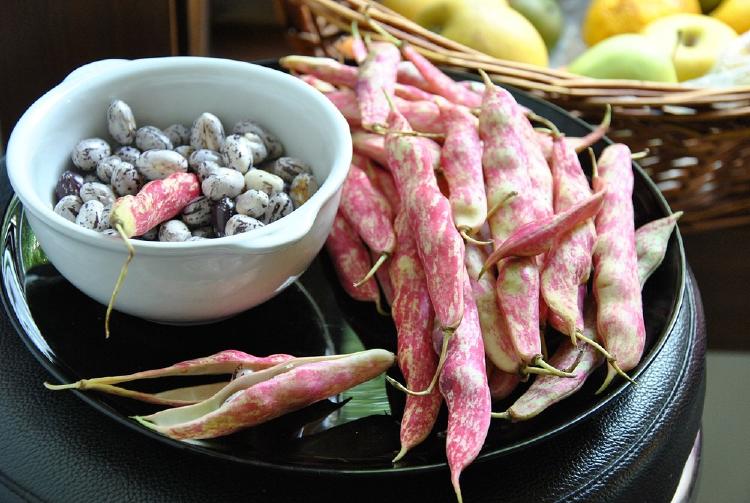 frijol-blanco bloqueador de carbohidrato casero