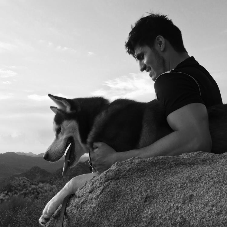 perrito historia perrito historia