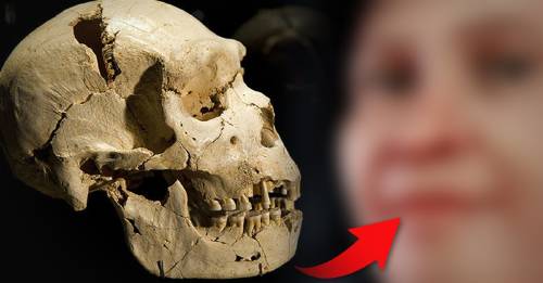 Reconstruyeron el rostro del fósil humano más antiguo de América