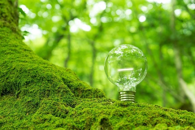 Regeneración sostenible Regeneración sostenible