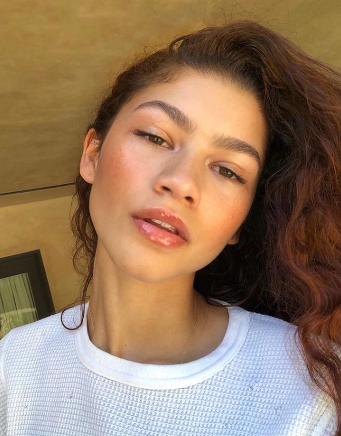 Zendaya Fakes