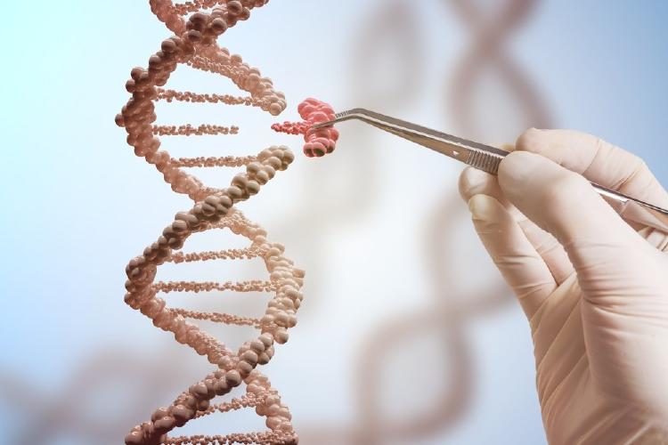 genes genes