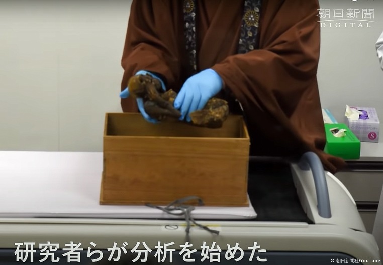 Momia sirena Japón caja Momia sirena Japón caja