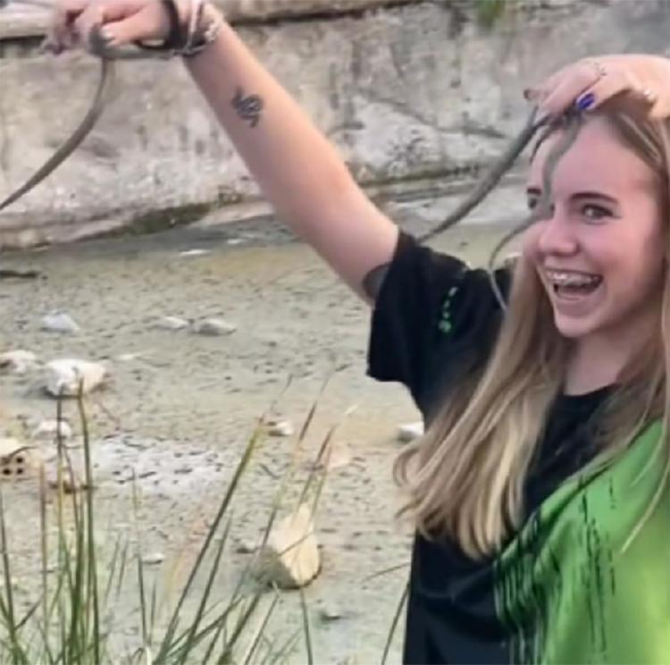 serpientes2 serpientes2