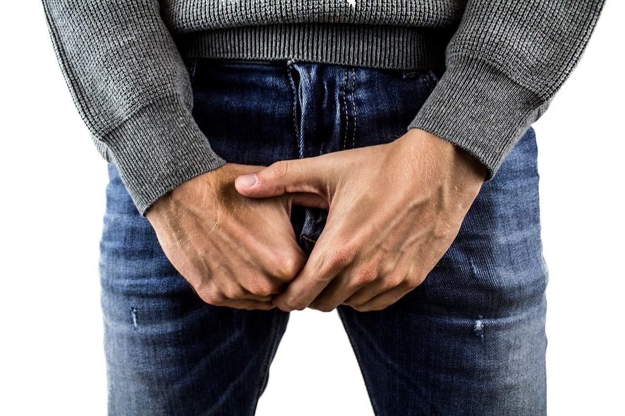 órgano sexual masculino