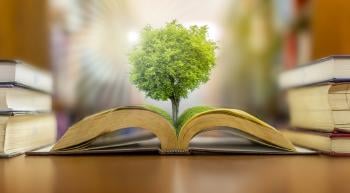 Día Mundial de la Educación Ambiental Día Mundial de la Educación Ambiental