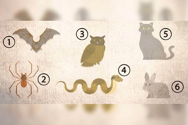 Test psicológico elige un animal Test psicológico elige un animal