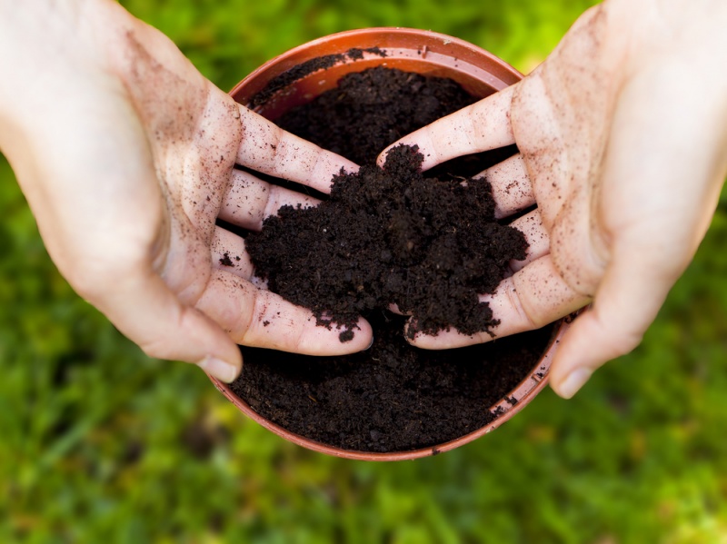 maceta tierra Poner tierra en una maceta con las manos
