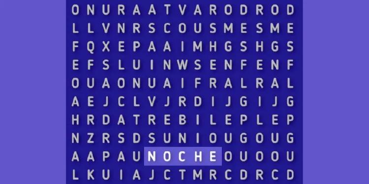 noche test noche test